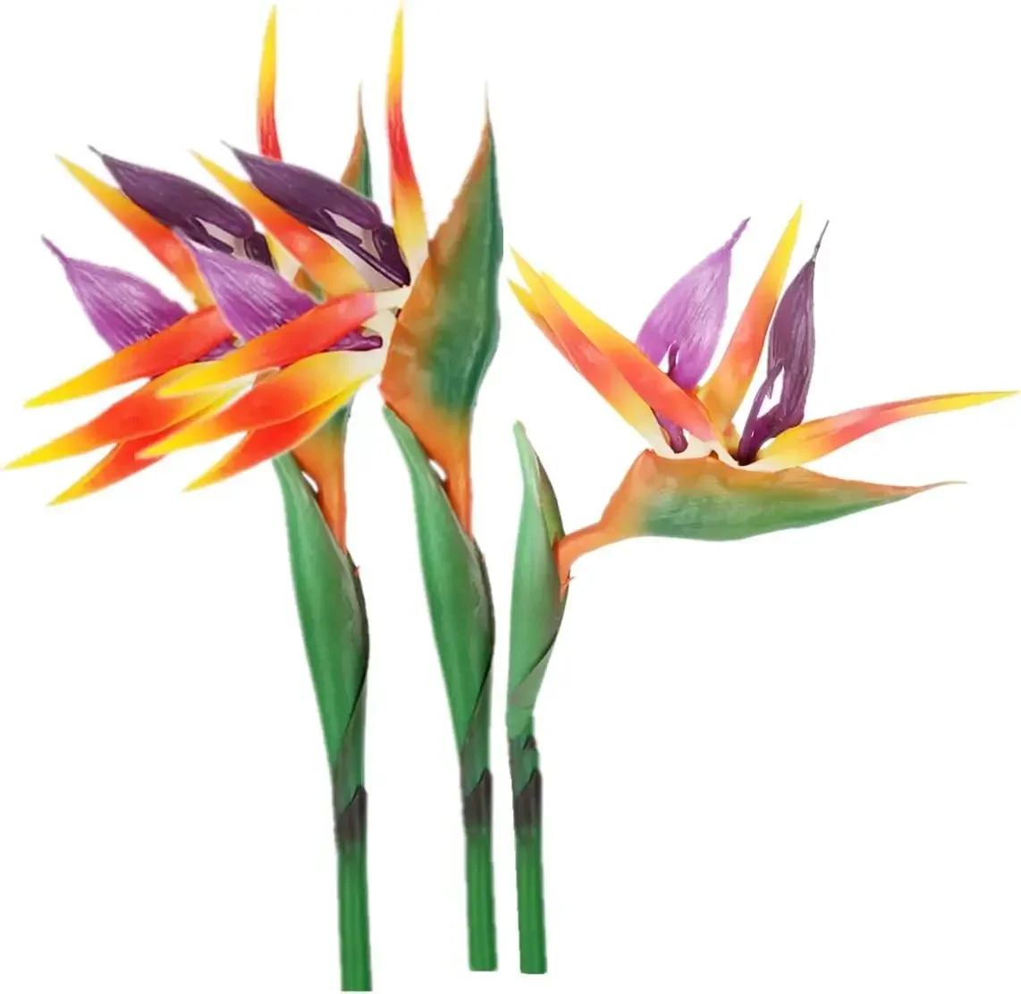 3 Pcs Large Bird of Paradise 29