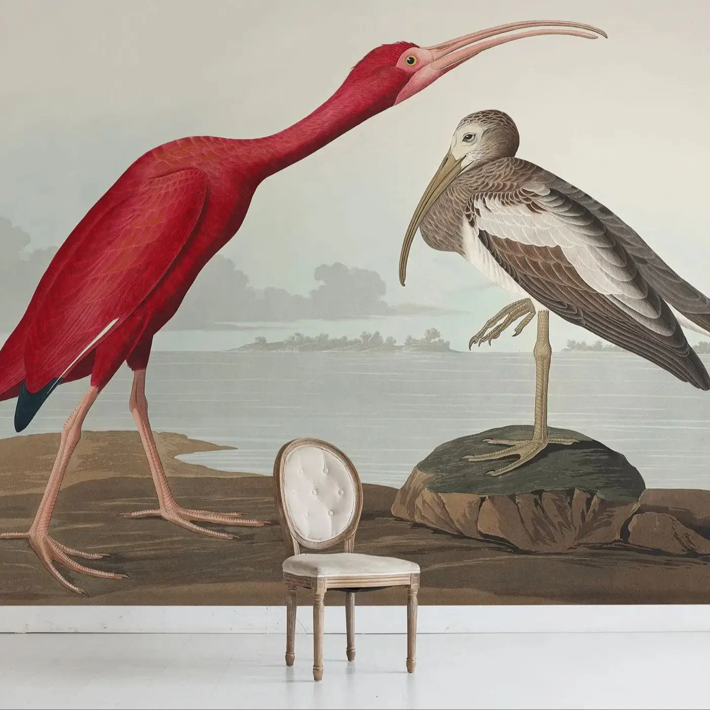 Scarlet Lbis Wallpa…