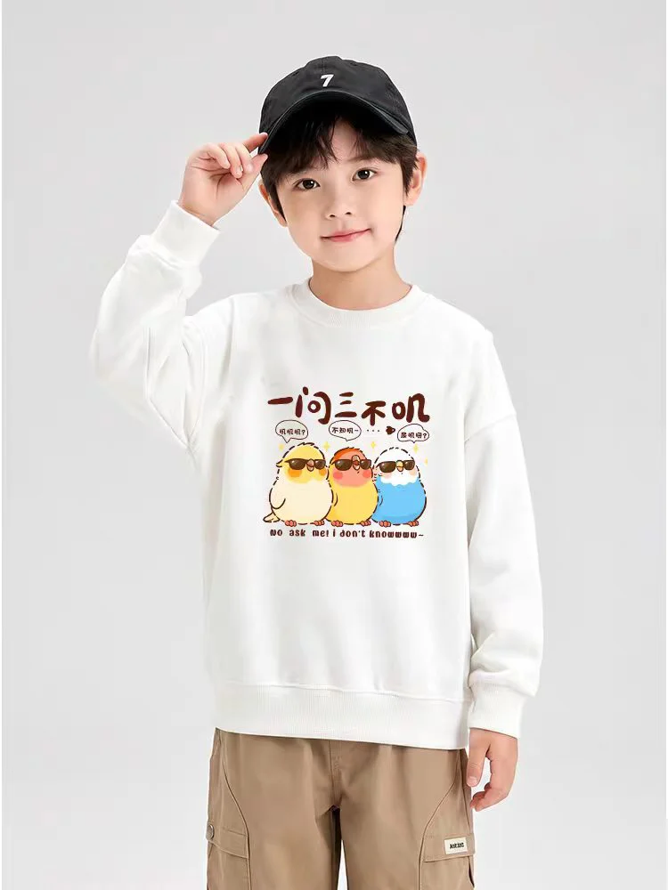 Kids Boys Sweatshirt Cartoon Three Parrots Graphic Print Crew Neck Long Sleeve Pullover Teen Boy Casual Streetwear Children Tops