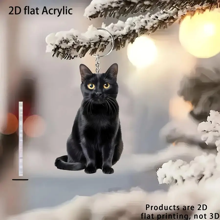 1/5/10/20/50/100pcs 2D Design, 2D Acrylic Keychain (Big-Eyed Black Cat), Keyring - Acrylic Ornament, Creative Hanging Decoration