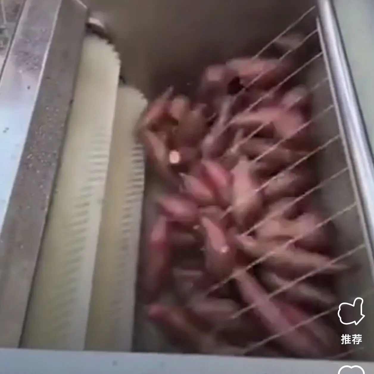 

Automatic Fruit Washer Orange mango Brush Washing Machine Cassava Potato Brush Peeling Washing Machine