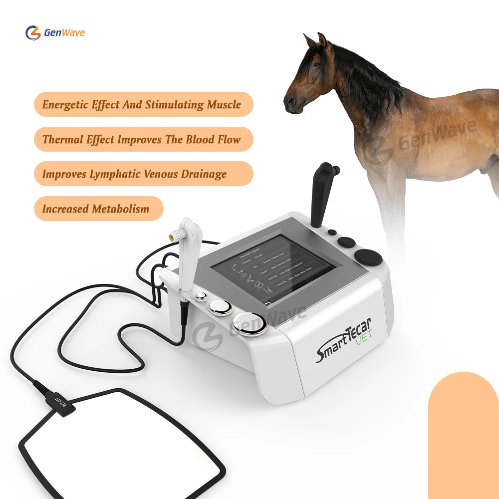 448khz Cet Ret Tecar Animal Diathermy Thermal Pain Relief Machine Smart Tecar Vet Physical Therapy Physiotherapy Device