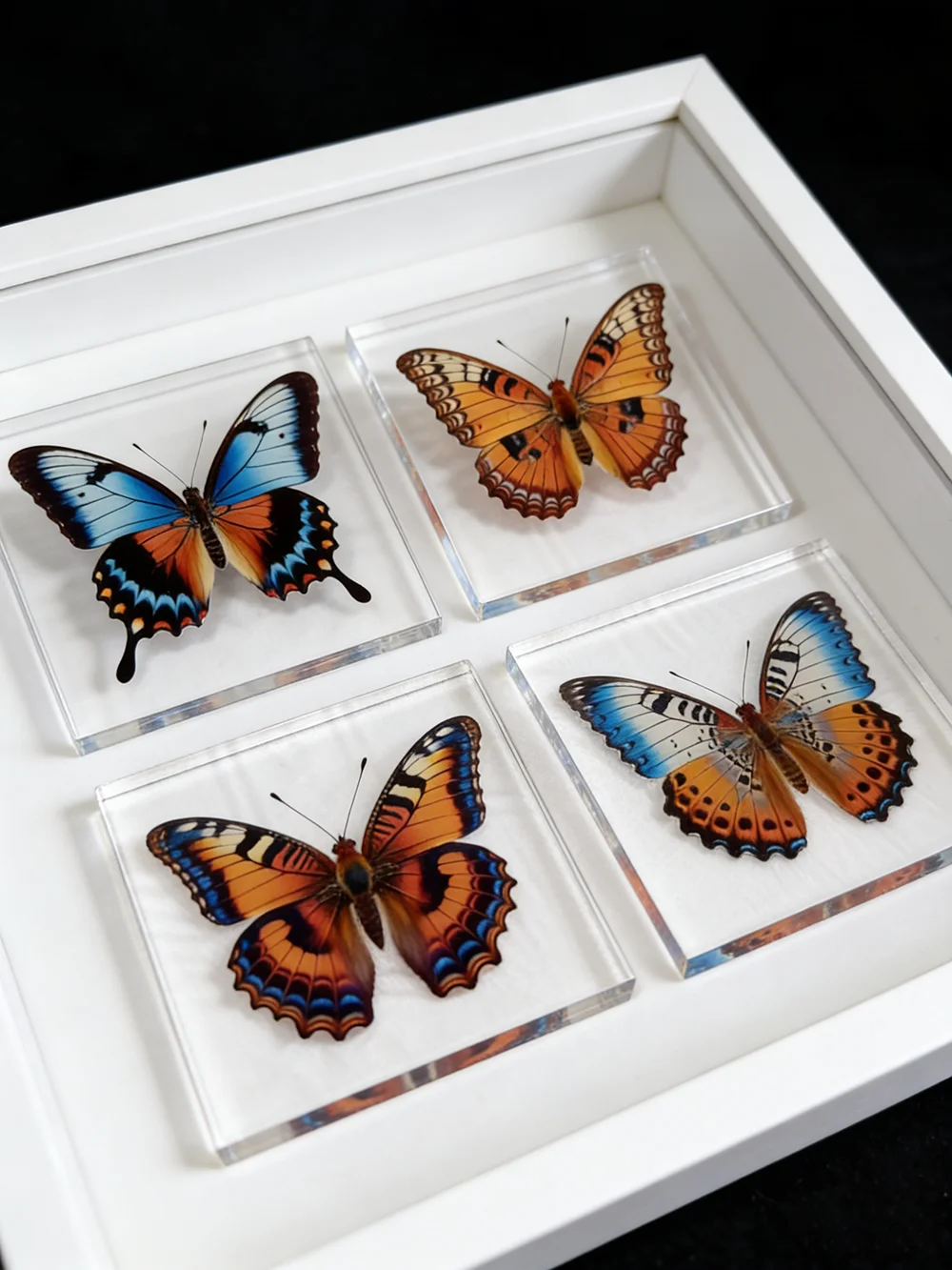 1 Stück Handgefertigtes Schmetterlings-Exemplar als Schreibtischdekoration, Kleine Ornament-Deko für Zuhause, Geschenk für Kinder und Mädchen – Detail 7