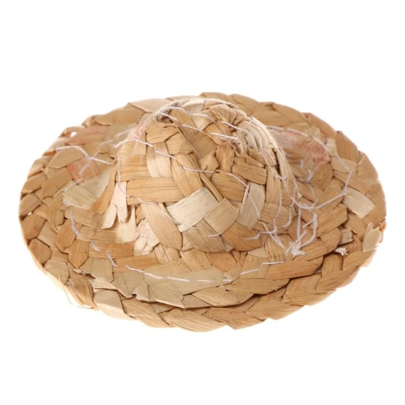 U1JB Bearded Dragon Straw Hat Clothes Accessories Fashion Costume Photo Props for Iguanas Amphibians