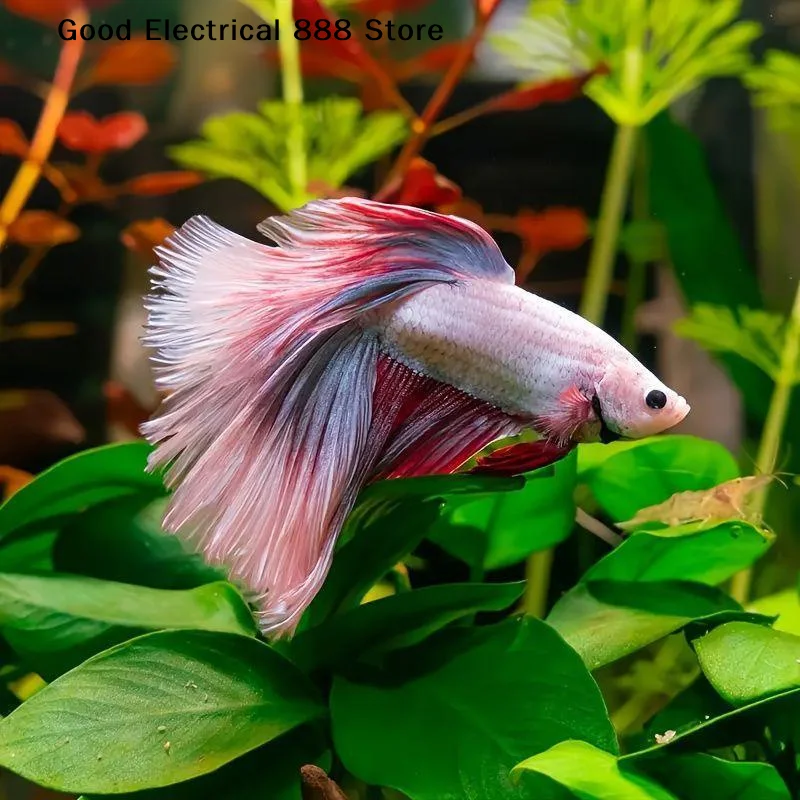 【G】3/5/10 PCS Plastic Betta Re - Planted Aquarium Betta review and price