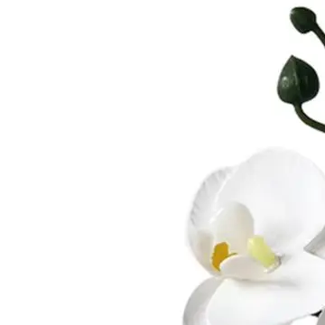 Desktop Faux Flower Miniature Artificial Orchid For Small Spaces Multiple Use Home Accent Minimalist White Base