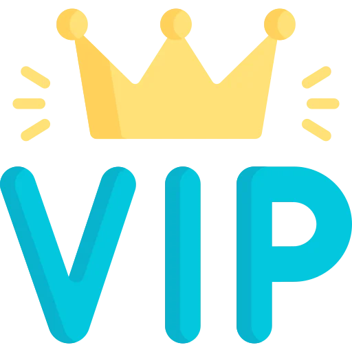 

VIP special link for accessories gift