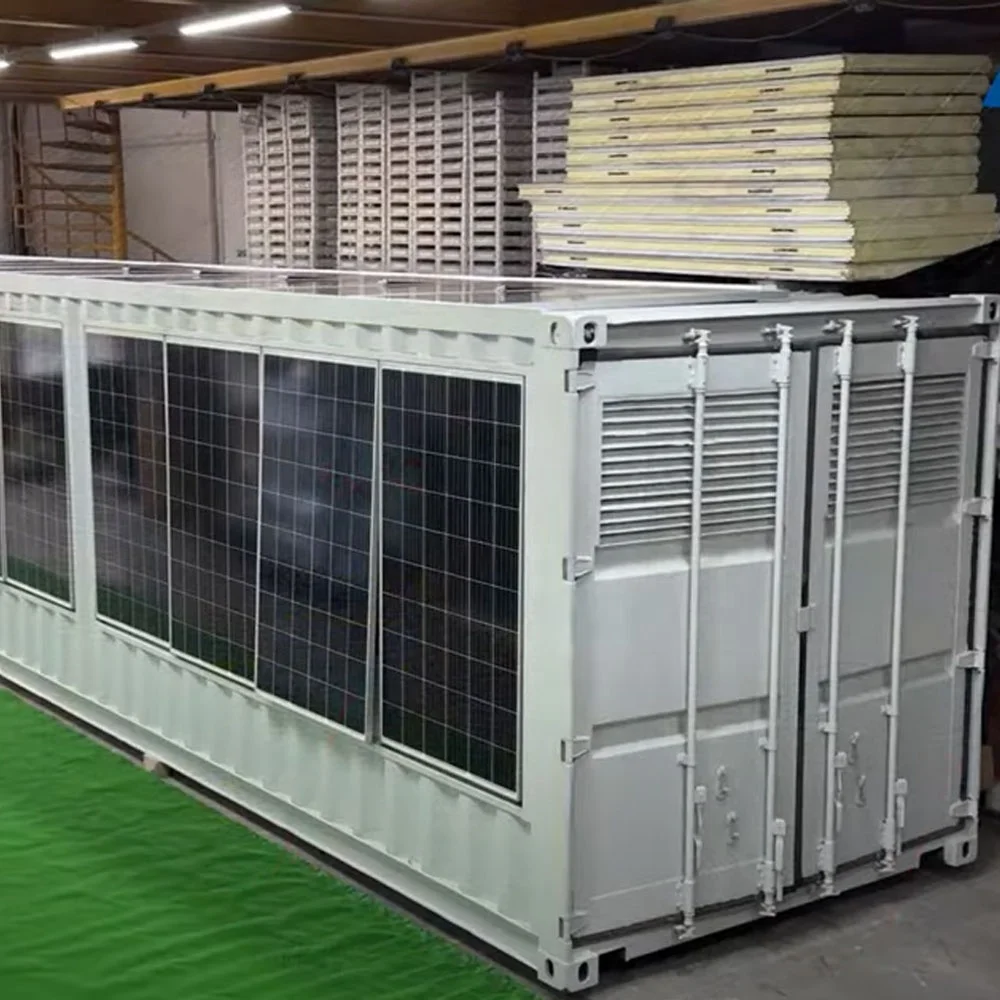 20ft 40ft solar powered cold storage container refrigeration unit price walk in freezer blast solar cold room for meat fish