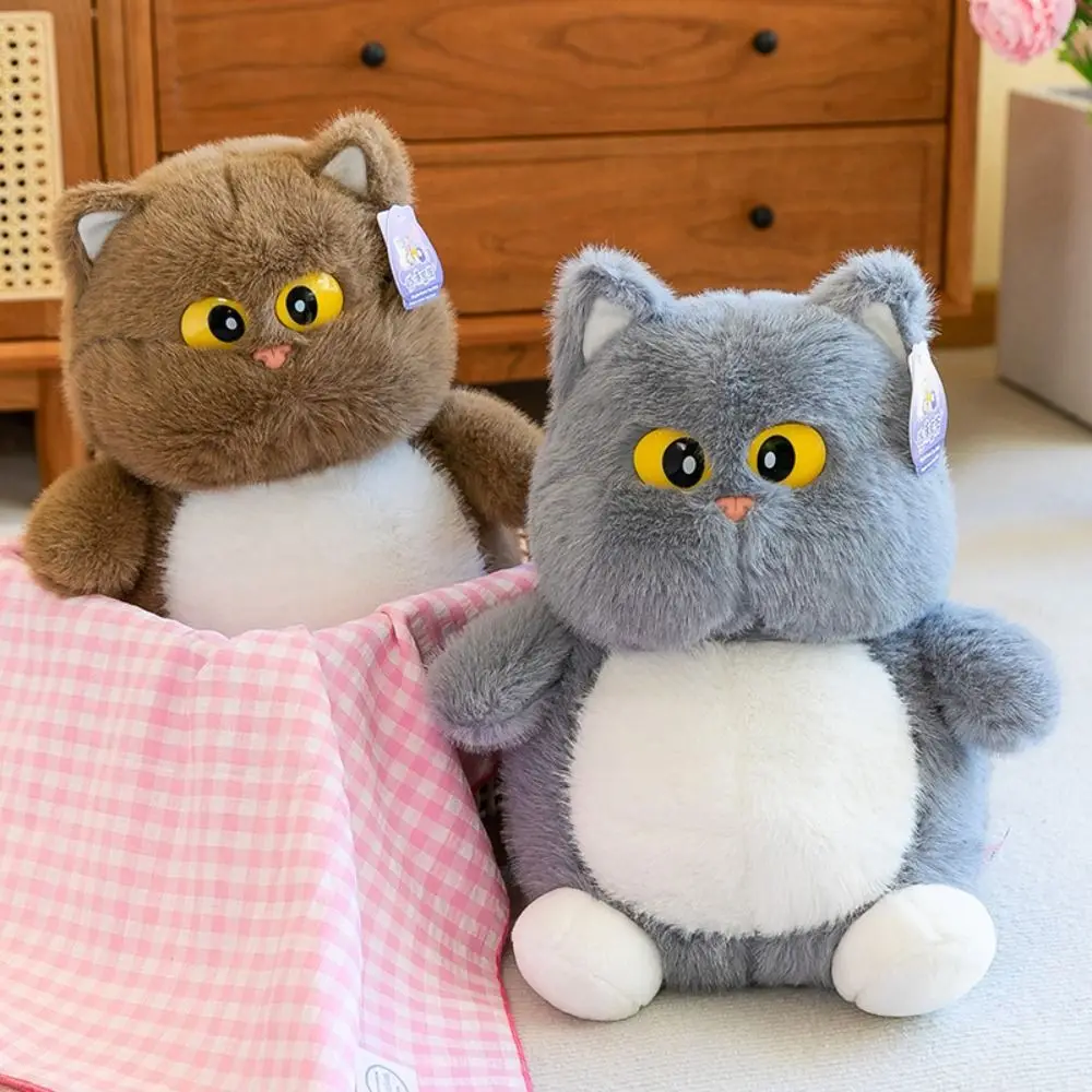 

Stuffed Toys Cartoon Big Eyes Cat Plush Doll Soft Fluffy Cat Plush Toy Kawaii Cute Cat Stuff Doll Birthday