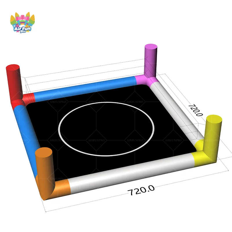 New Design Inflatab…