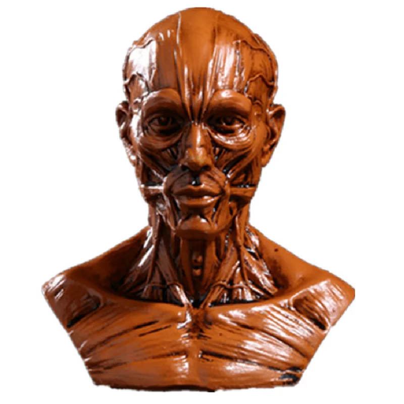 

Resin Muscle Skull Halloween Gift