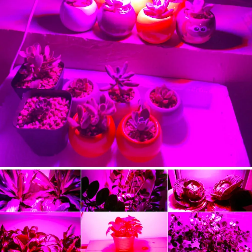 10PCS 20W Full spectrum plant light for indoor plant growth 30W 50W LED COB chip AC220V plant nursery and flower growth lighting