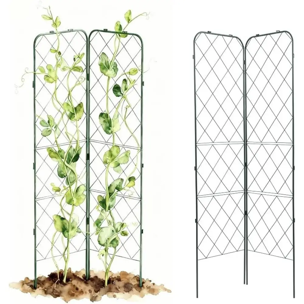 A-e Trellis 80