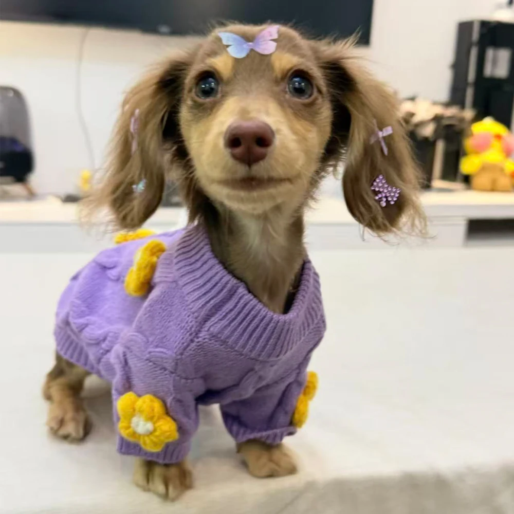 Ropa Hecha a Mano para Perros Dachshund, Suéter Morado de Punto Cálido para Perros Dachshund, Ropa Exterior Floral para Perros Dachshund Pequeños y Medianos