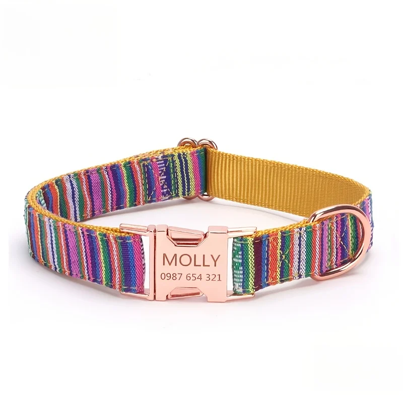Hundhalsband med graverat metallspänne och namn_voghion.com