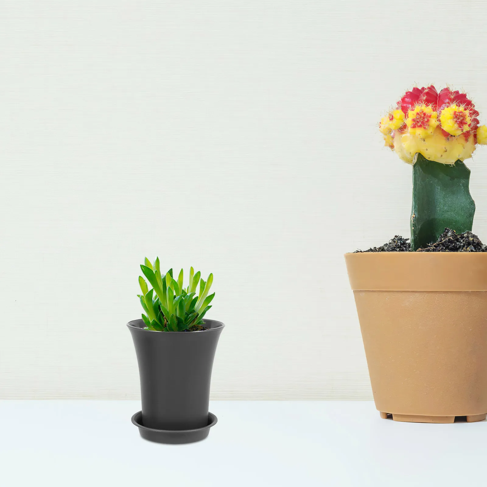 

10Pcs 9cm Dark Grey Round Plastic Planters with Saucer for Succulents and Small Plants Indoor Outdoor Plant Growing Pot