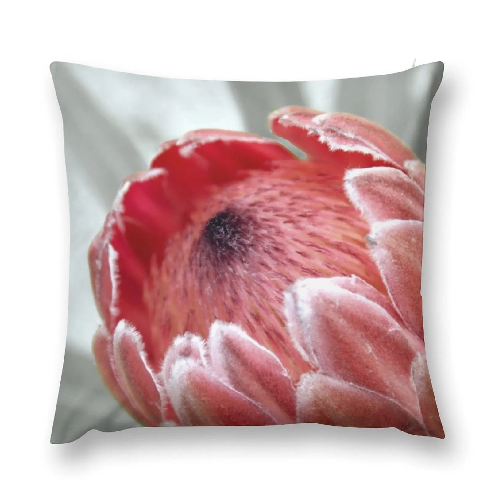 Pink Ice Protea Throw Pillow Decorative pillowcase Sofa Cushion pillow