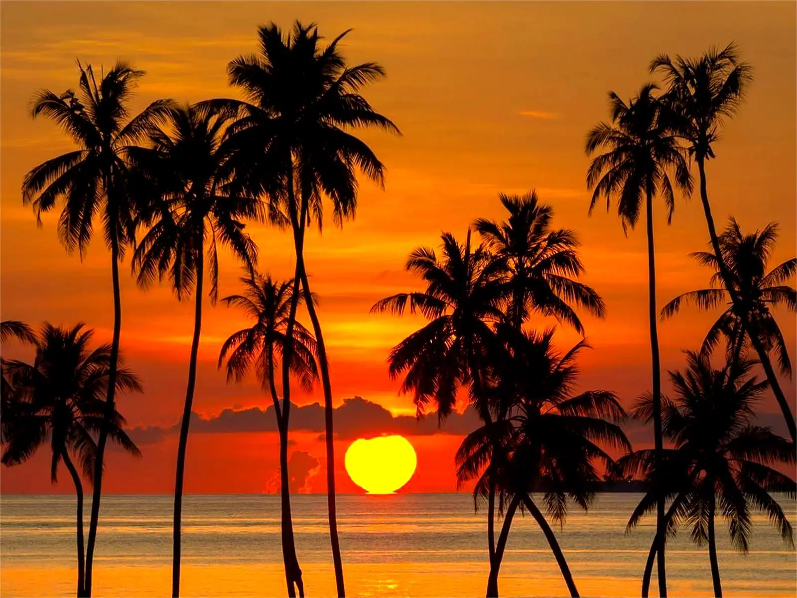 

Пазлы с изображением заката над деревьями, 500/1000/1200/2000 деталей, семейные игры для игровой комнаты, спальни, подарки