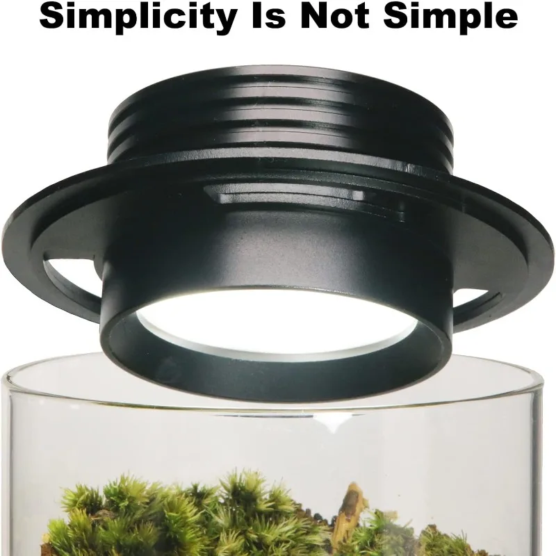 تررم نبات زجاجي لسطح المكتب مع ضوء النمو (الارتفاع: 7.8 بوصة العمق: 4 بوصة)، للنضرة، الطحلب، المناظر الطبيعية للبستنة المصغرة، خزان أسماك بيتا #2