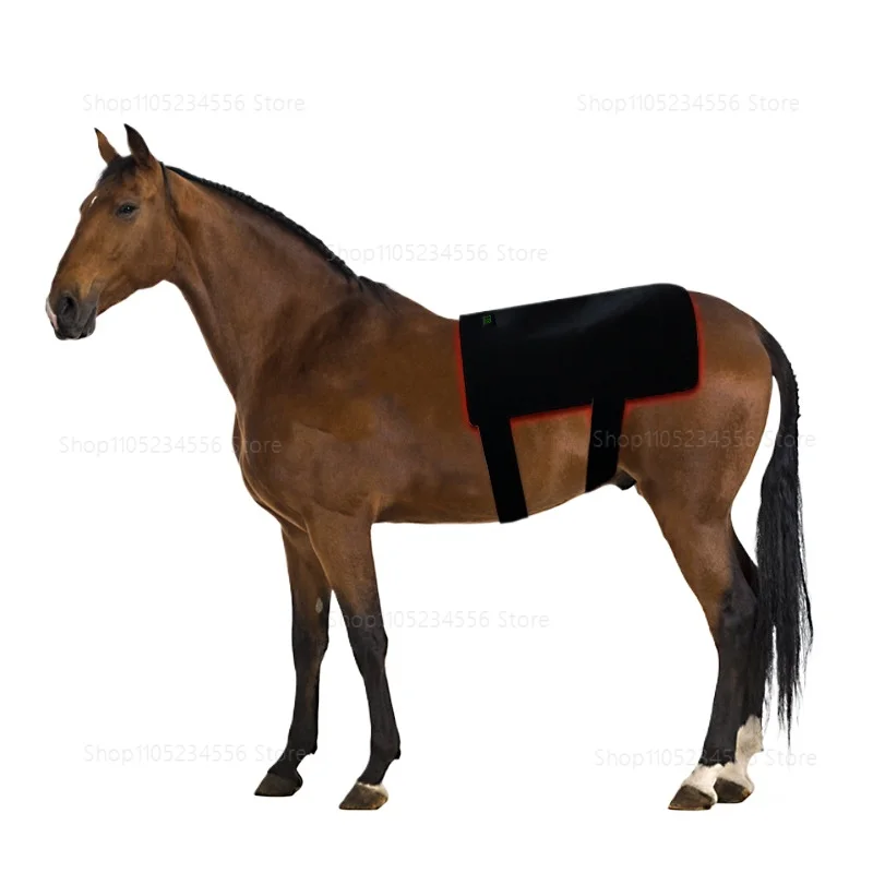 

Horseback physiotherapy device red light infrared abdominal injury recovery muscle relaxation fracture healing