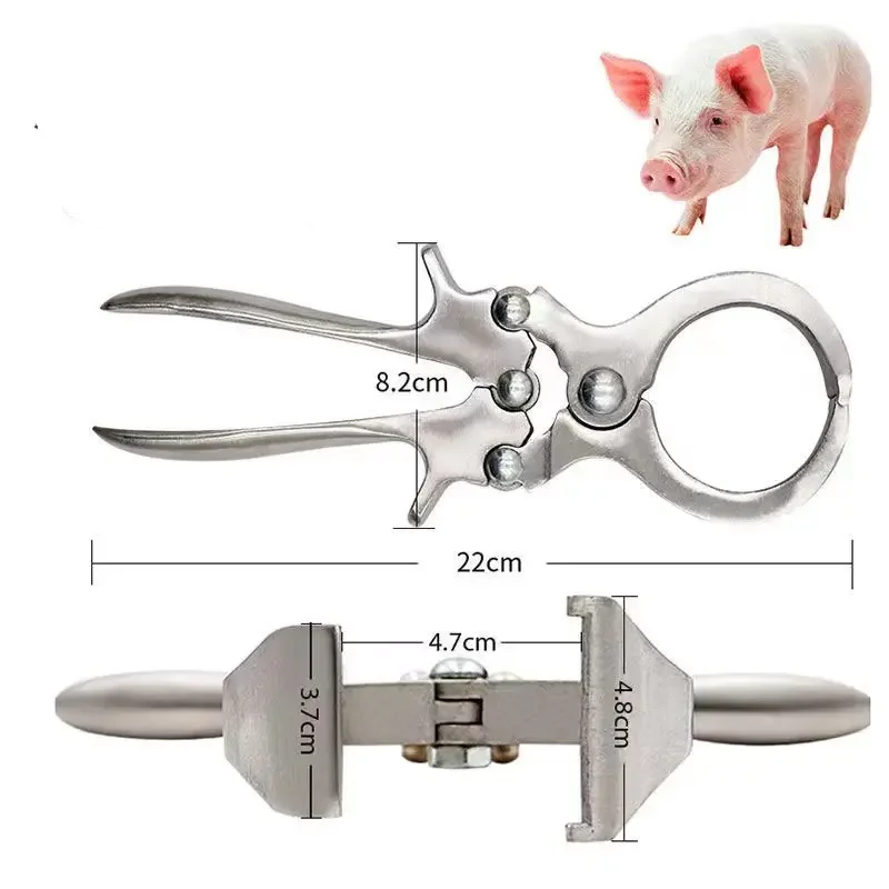 

1 Pcs Livestock Tools Stainless Steel Without Blood Pig Sheep castration Clamp Castration Tool Castration Forceps