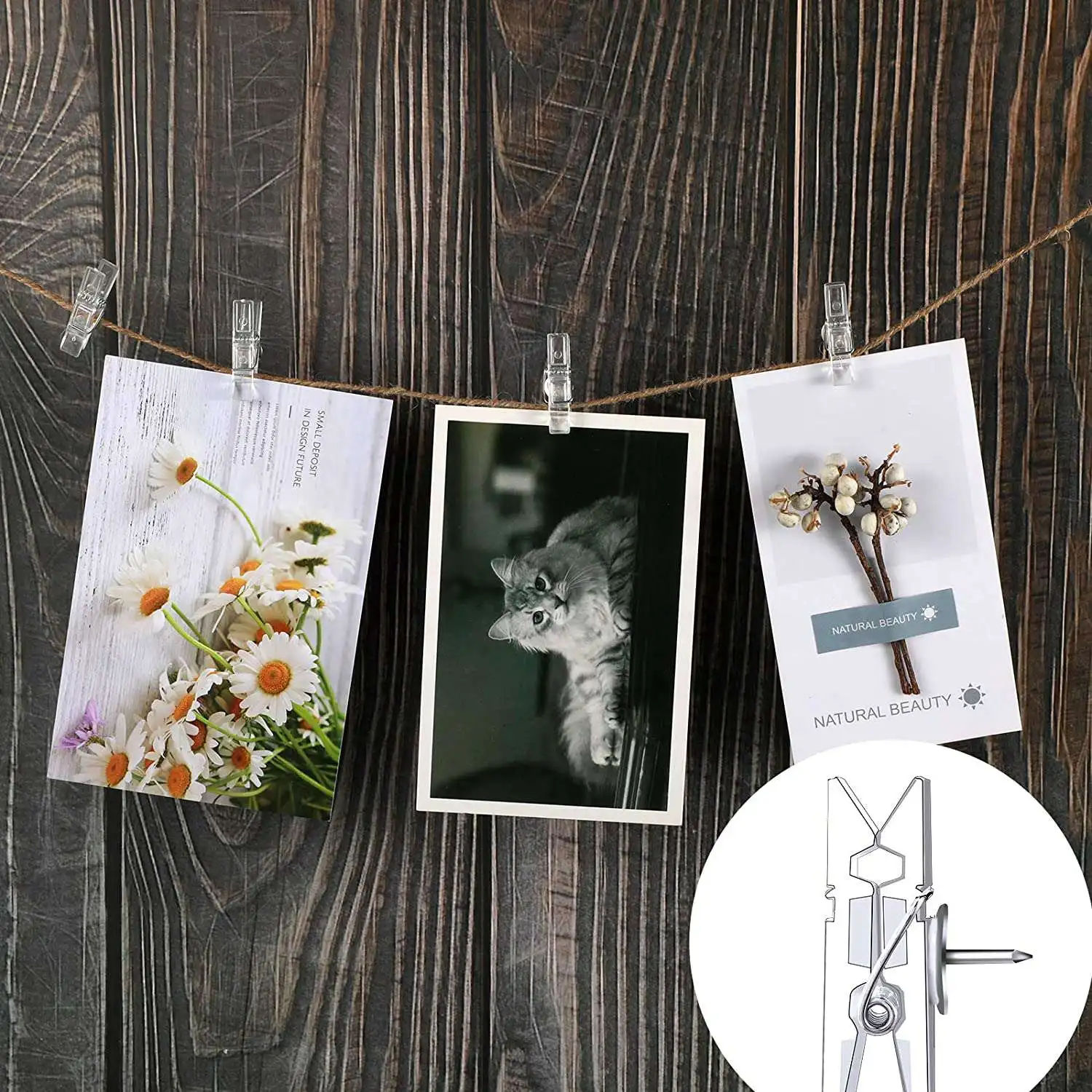 หมุดพลาสติกสำหรับไม้ก๊อกคลิปหนีบรูปภาพขนาดเล็กหมุดตกแต่งหมุดทรัมแบคคลิปกระดาษ