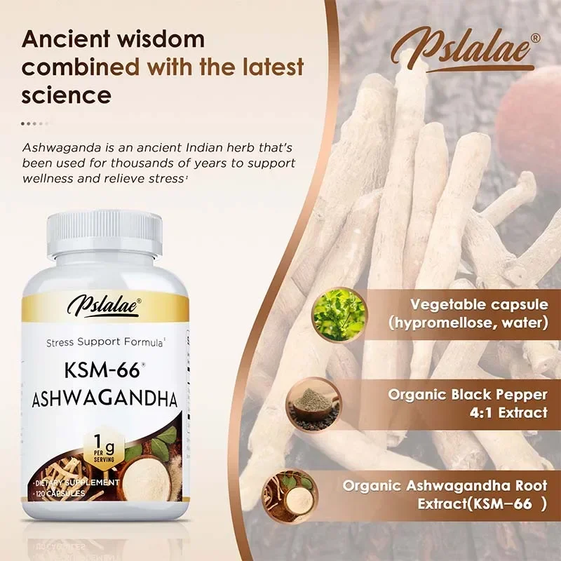 كبسولة أشواغاندا KSM-66 - دعم صحة الأدرينال والغدة الدرقية، تخفيف التوتر، تحسين النوم، وتعزيز التركيز وصحة الدماغ
