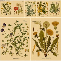 Retro Plant Flower Study Poster Botanical Prints Posters Kraft Paper Vintage Home Room Florist Decor Aesthetic Art Wall Painting