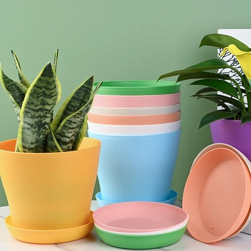 8pcs/set Cactus Pot Candy Color Flower Pot Round Thickened Plant Pot Plastic with Tray Potted