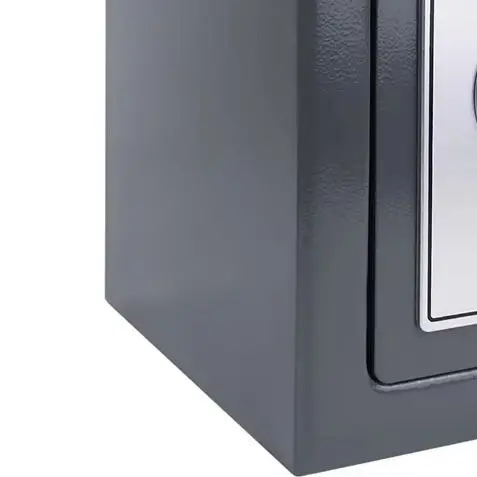 Coffre-fort électronique numérique de 4,6 litres, coffre de sécurité ignifuge pour la maison ou le bureau, coffre en acier pour argent, bijoux, 2 clés, à fixer au mur.