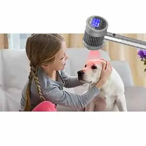 

Vet-Approved Cold Laser Therapy for Dogs, Pain Relief & Wound Healing Device for Pets at Home