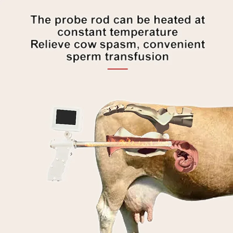 Cow Visual Artificial Insemination Gun Veterinary Breeding Endoscope Tool