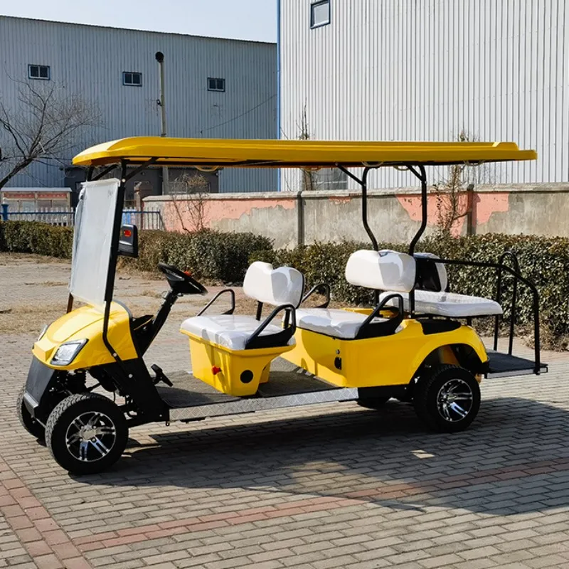 New 4 6 8 10 Seater Electric Golf Cart Sightseeing Car Can Be Customized Gasoline Double-Row Back-To-Back Special Car For Adults