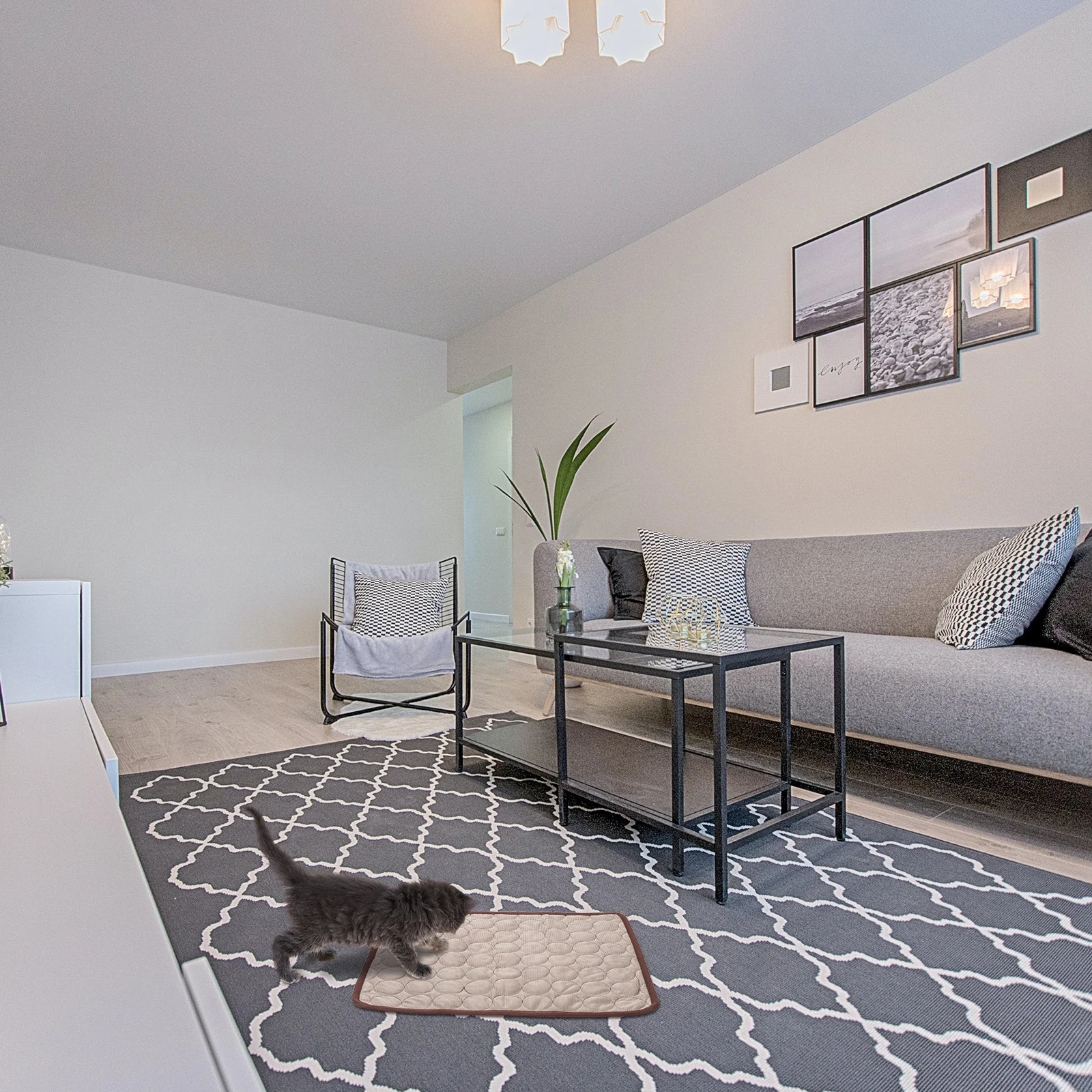 

Summer Mat Cooling Dog Pet Feeding Mats for Dogs Puppy Pad Bed Indoor Portable Travel Pads