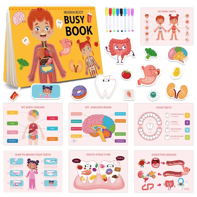 

Cross-Border Children's Busy Book Early Childhood Education Body Structure Recognition Quiet Activity Book
