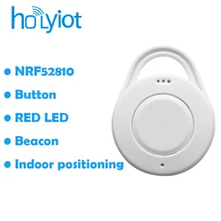 Holyiot-baliza BLE 5,0 NRF52810, módulo Bluetooth, posicionamiento interior, rastreo Programable de largo alcance para Módulos de Automatización IBeacon