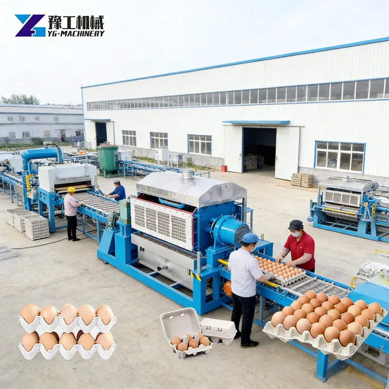 Customized Egg Tray Machine: Unleashing Efficiency in Tray Production, Ensuring Each Egg Finds a Perfectly - Shaped Home.