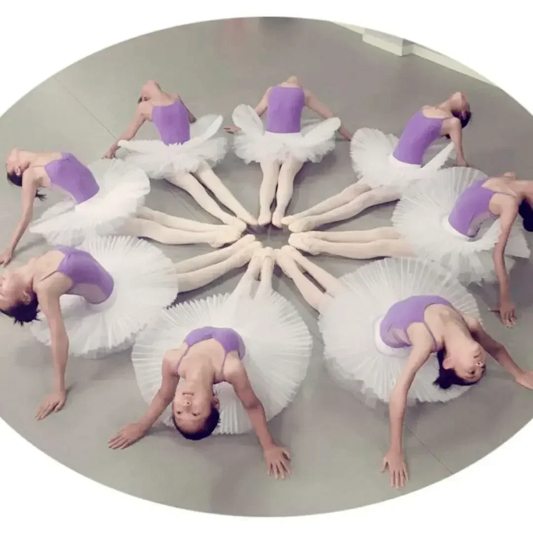 

Adult Ballet Leotard Tutu Skirt Female Swan Lake Dance Costumes Professional Ballet Tutu Pancake Skirts For Women 6 Layers