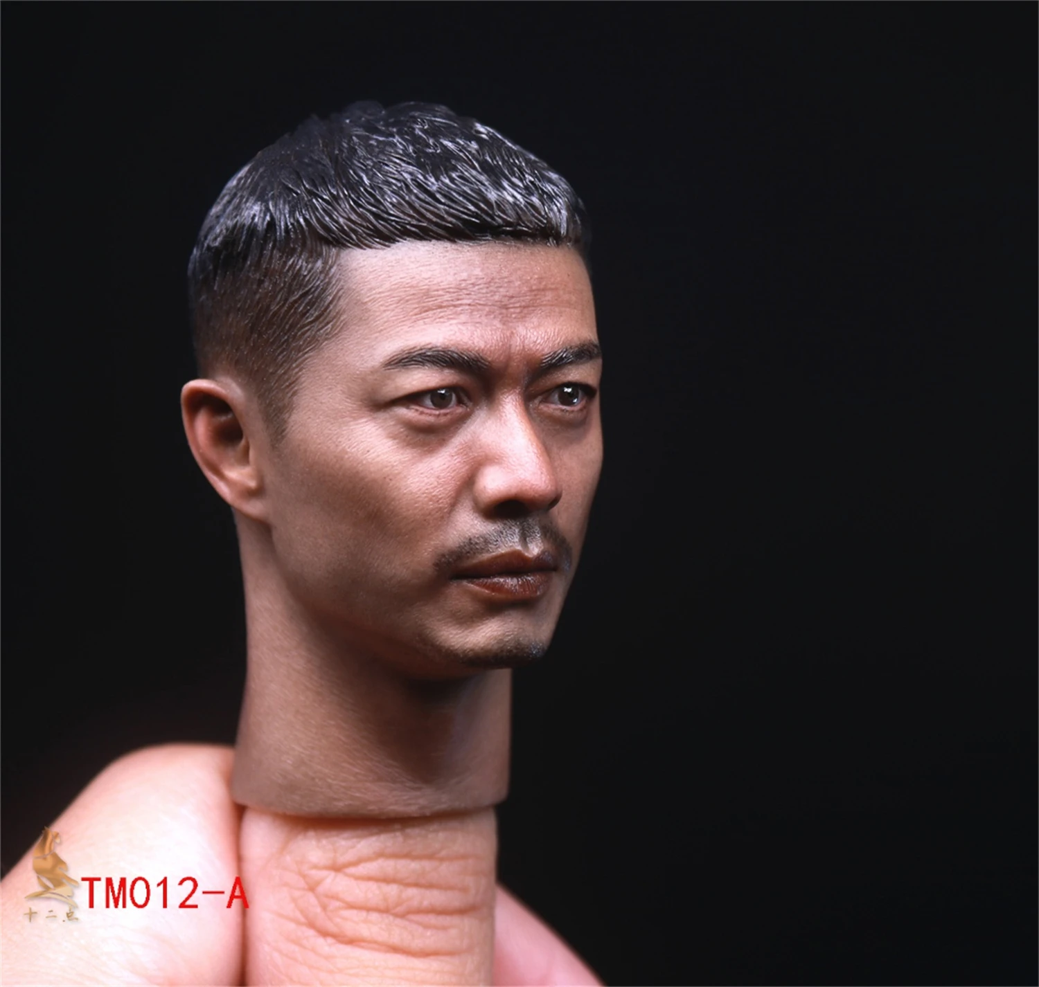 1:6 TM012A Duan Yihong Chinese Actor Battalion Commander Head Carved Fit for 12'' Worldbox COOMODEL Action Figure Body