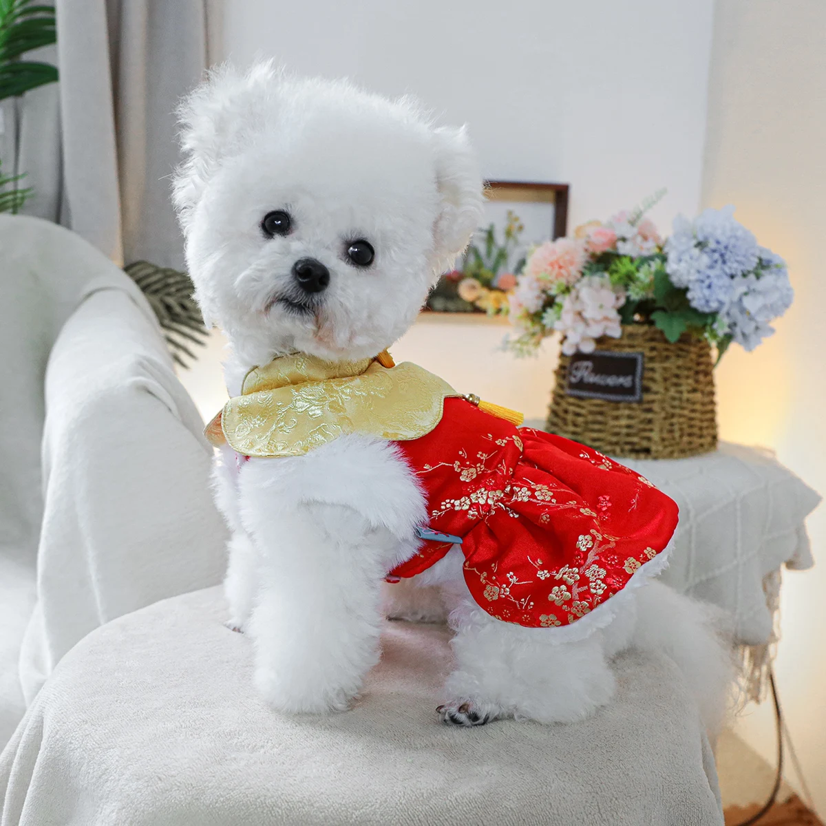 1PC Pet Clothing Cat Winter Velvet Thick Warm Blessing Full of New Year Cotton Dress Suitable for Small and Medium sized Dogs