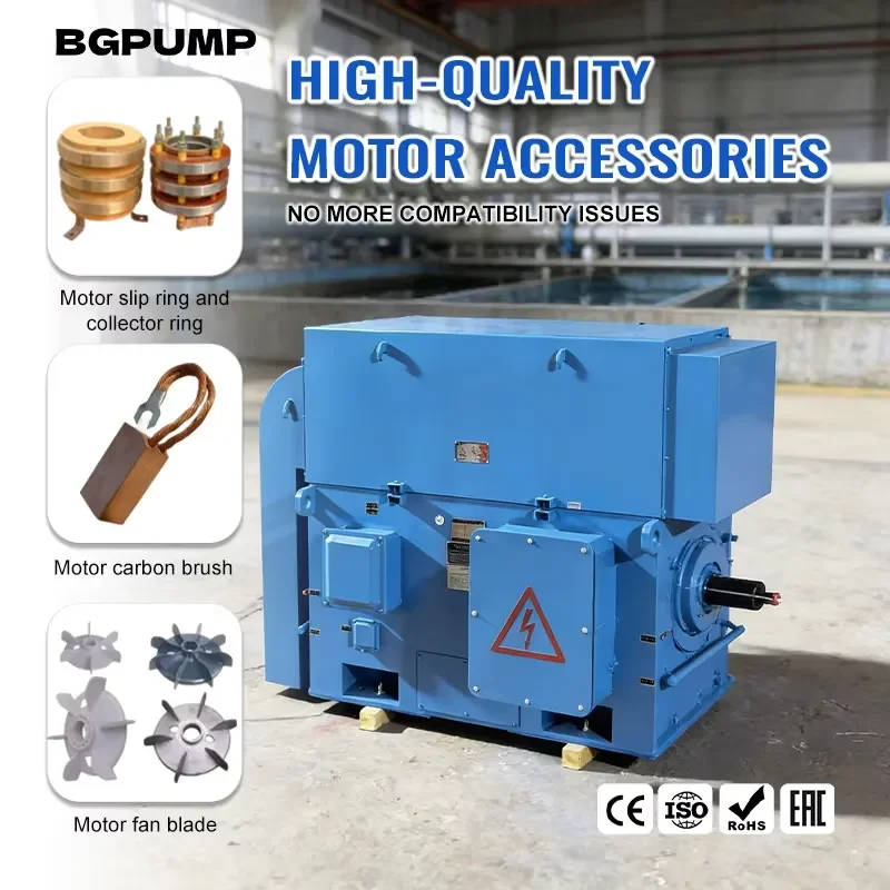 6kV High Voltage Motor 560kw 630kw 710kw 800kw 900kw 1000kw High Voltage 1000hp Electric Motor Ac Induction Motor