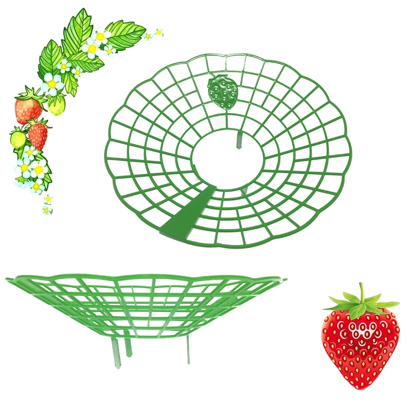 Strawberry Plant Cages Support Stand, Strawberry Frame, Escalada Trelli Support Tool