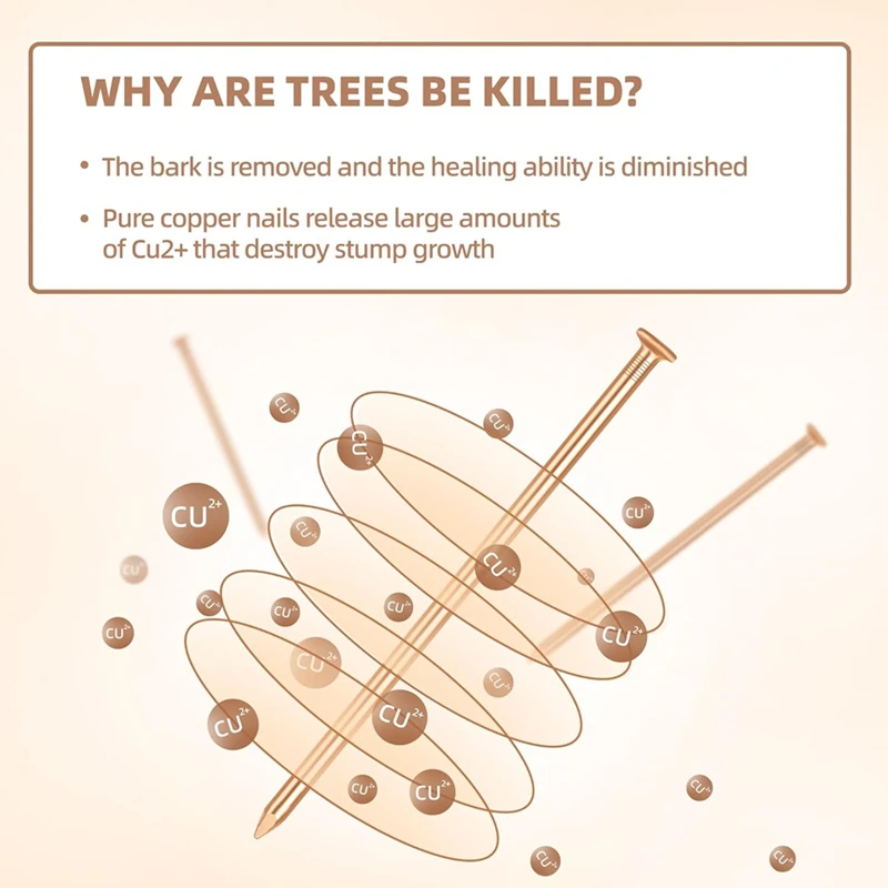 15 Stuks Koperen Nagels Voor Het Doden Van Bomen Stompwortel, 3.14 Inch Lange Puur Koperen Nagels Met Boor, Stompverwijderingspieken
