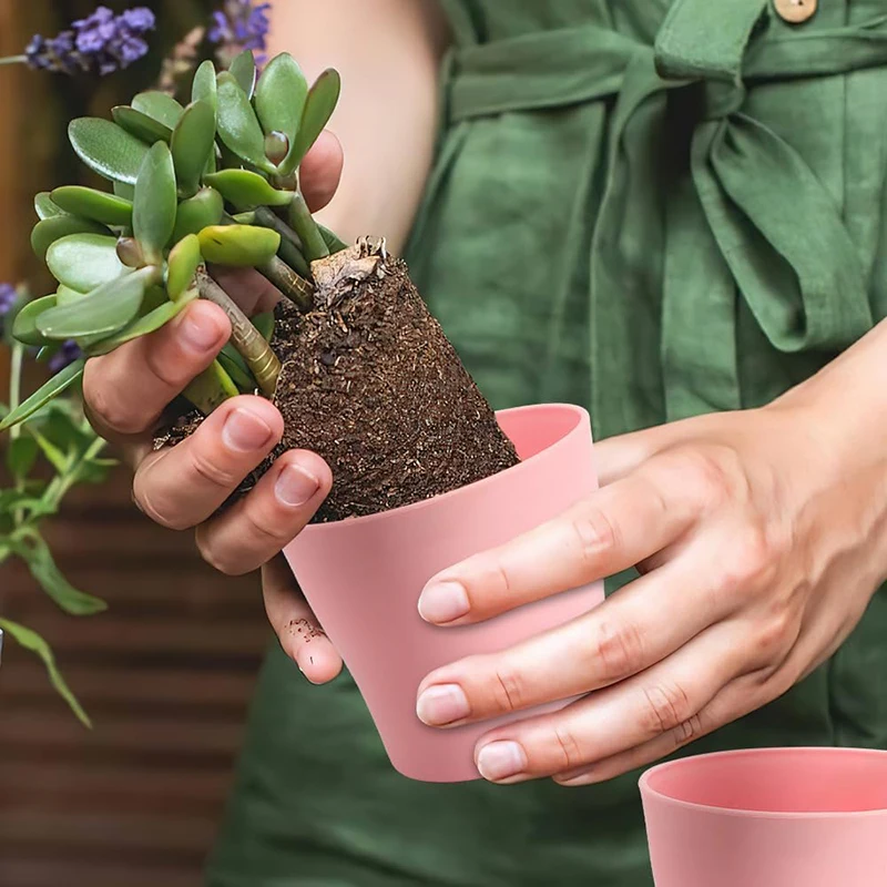 5/10pcs Open Mouth Flower Pots Mixed Styles Mini Succulent Planters Small Cactus Plant Containers for Home Garden Decor TMZ