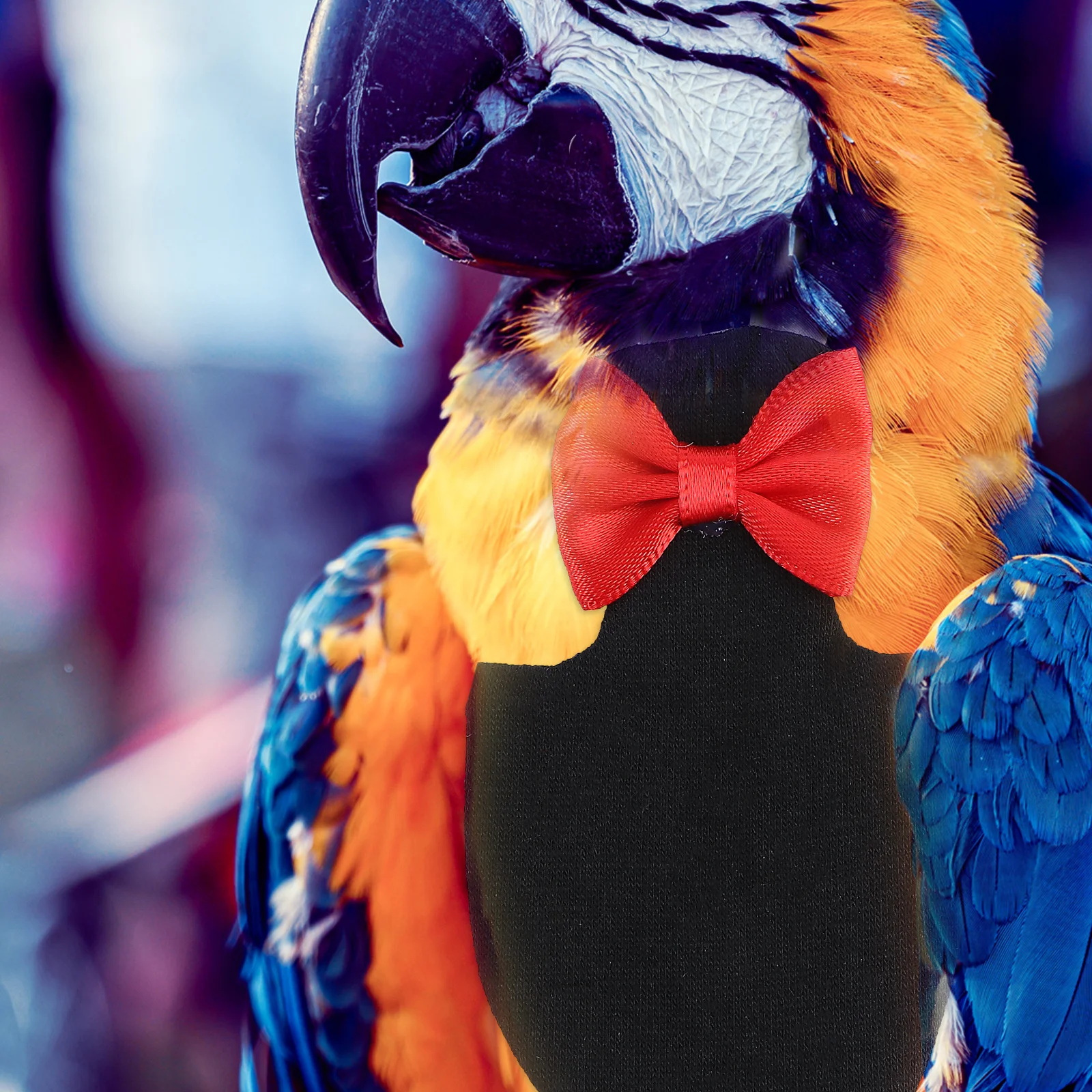 

Parrot Diaper Bird Pant Black Waterproof Absorbent For Cockatiel Parakeet Sanitary Protection Pet Bird Clothes Grooming