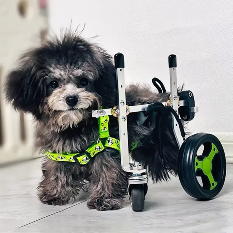 4 Wheels Dog Wheelchair Back Legs Harness Assistive Wheelchair Elderly Teddy Paralysis Wheelchairs Puppy Adjustable