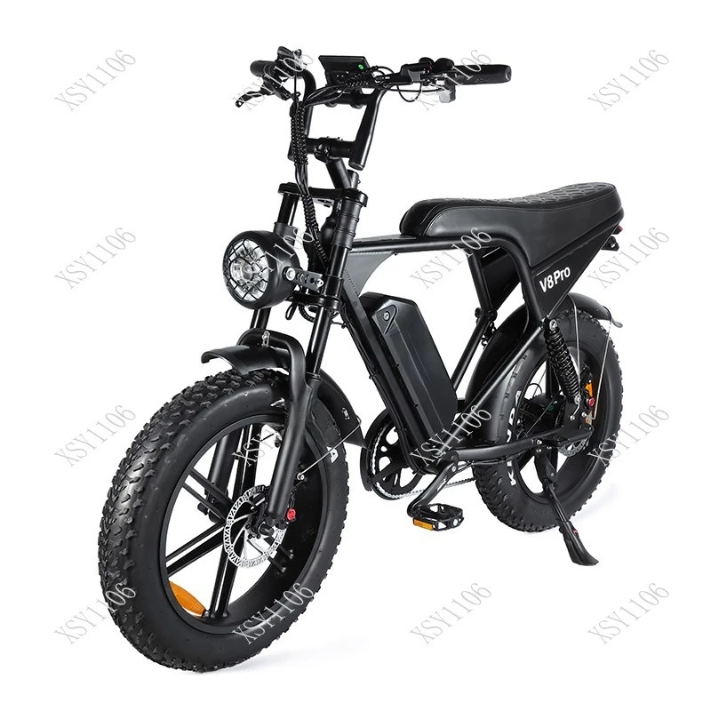 

Vintage Fat Tire Electric Bike Off-Road Snow Mountain Bicycle for Outdoor Sports