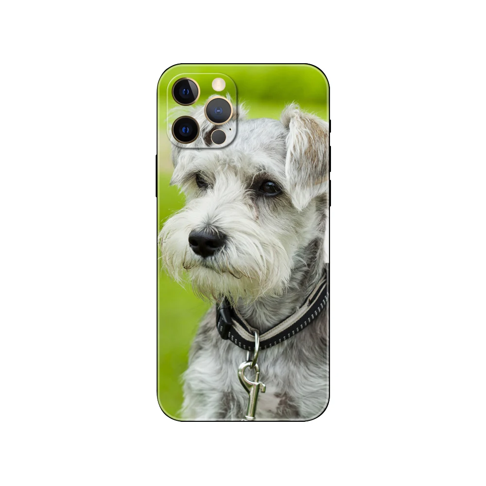 Schnauzer Puppy dog ，phone case for iphone，14 2020se 6 6s 7 8 plus x 10 XR XS 11 12 13 mini pro soft MAX black tpu back cover