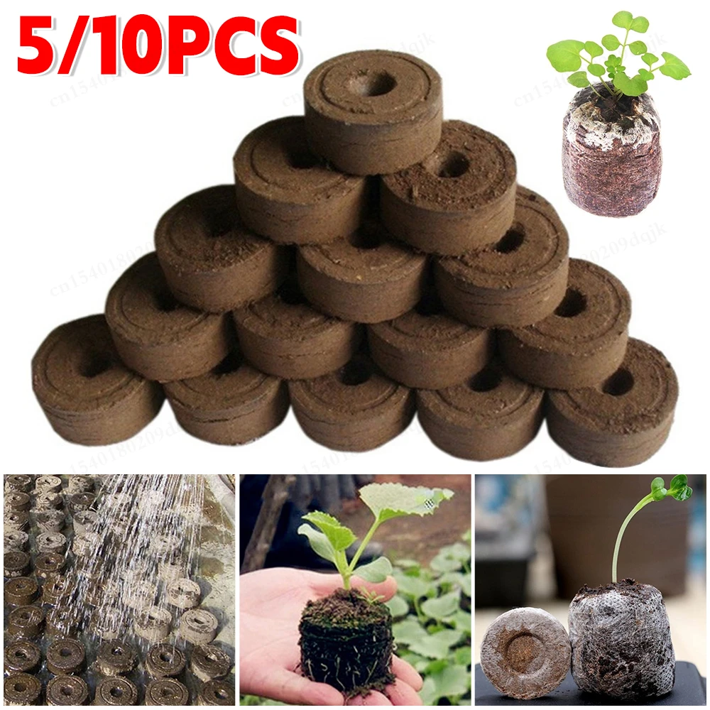 5/10 Pcs Nurture Seedling Soil Block Seed Germination Base Material Coconut Bran Peat Soil Cuttage & Cutting Seedling-raising