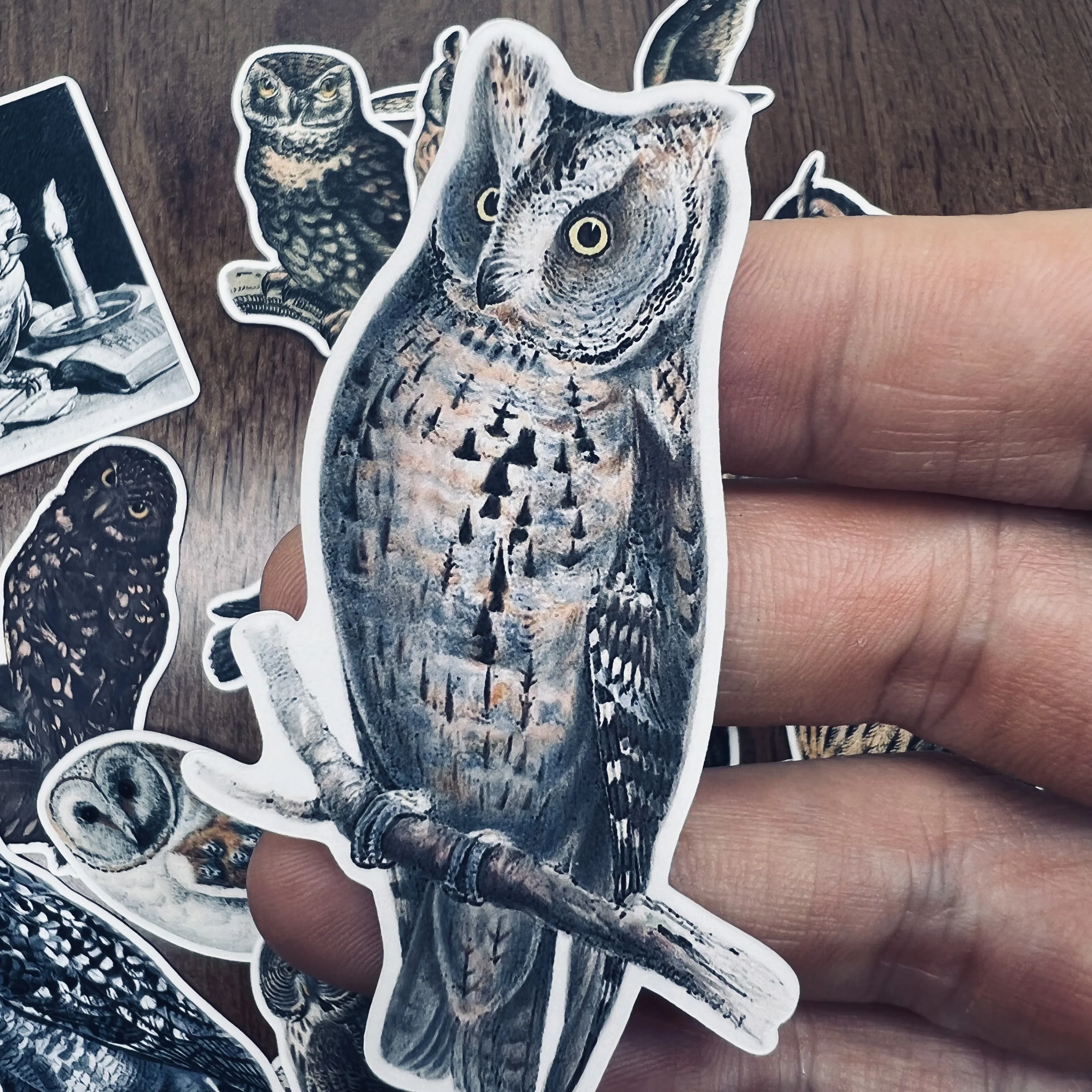 Owl Stickers Vintage Junk Journal Travel Planner Sticker Deco Label for Scrapbooking Album Kawaii Decals